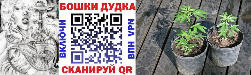 Бошки Шишки LSD WEED  Усть-Кут 
